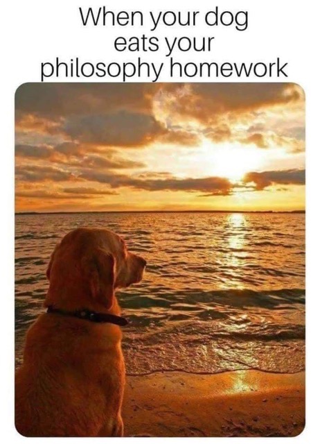 117422820 1990633887733886 2462810410946244811 o