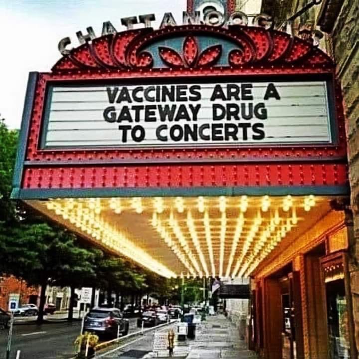 Gateway drug to concerts