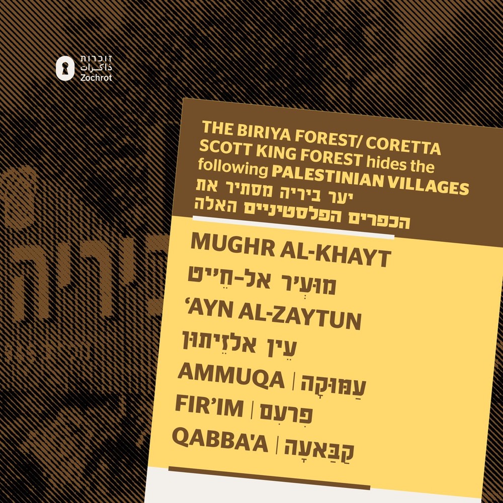 Biriya Forest