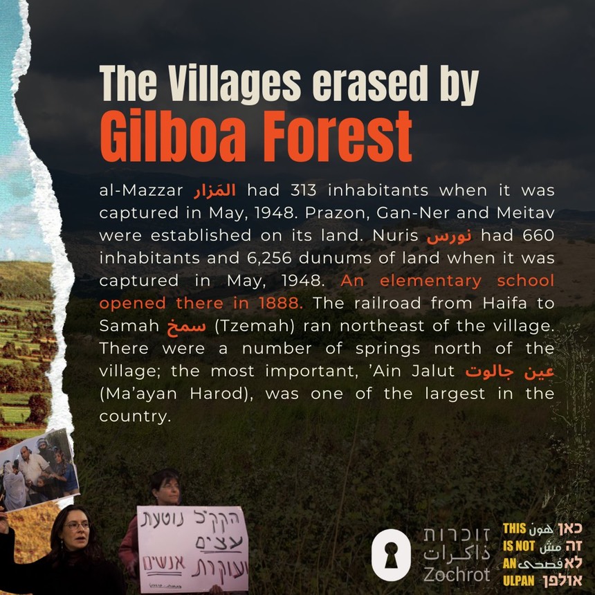 Gilboa Forest