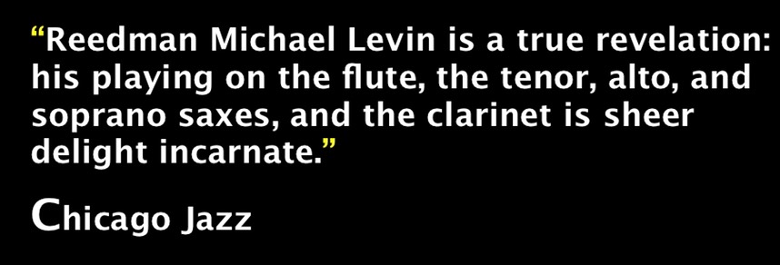 Review: "Reedman Michael Levin is a true revelation . . . "