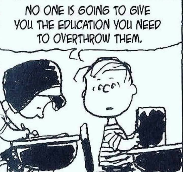 no-one-is-going-to-give-you-the-education-you-need-to-overthrow-them