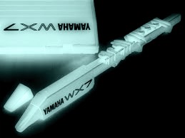 WX7 XRay
