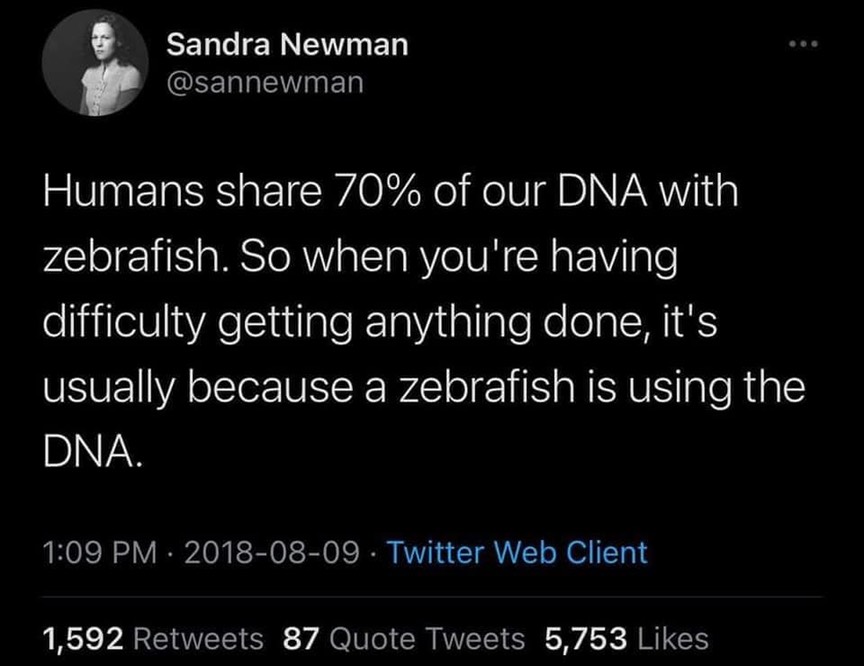 Zebrafish